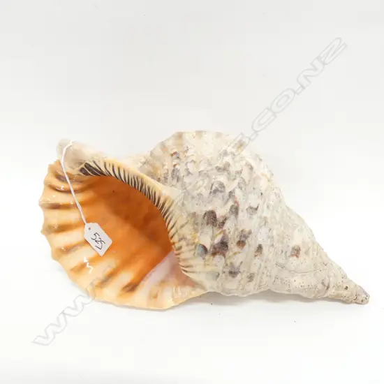LGE TRITON SHELL, W. 360MM