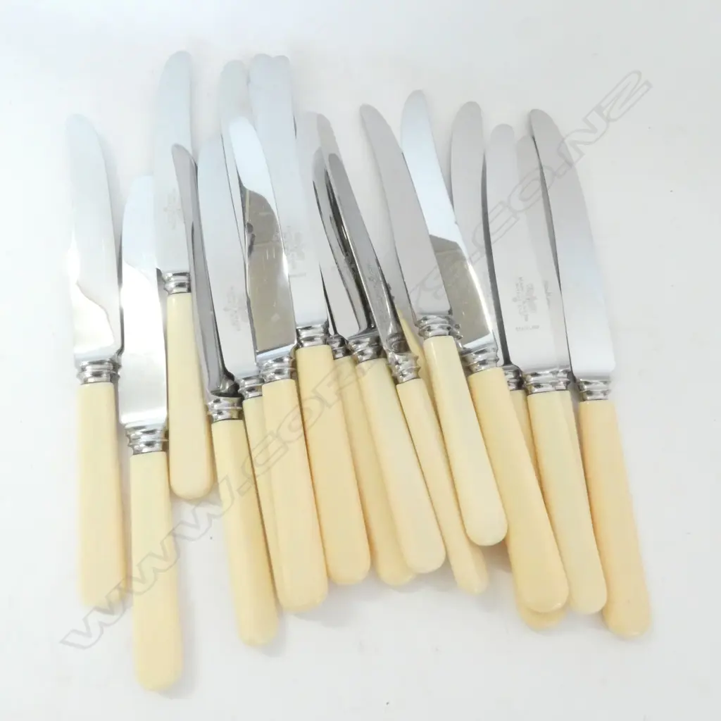 BAG MAPPIN & WEBB IVORINE KNIVES (18)  Image 1++