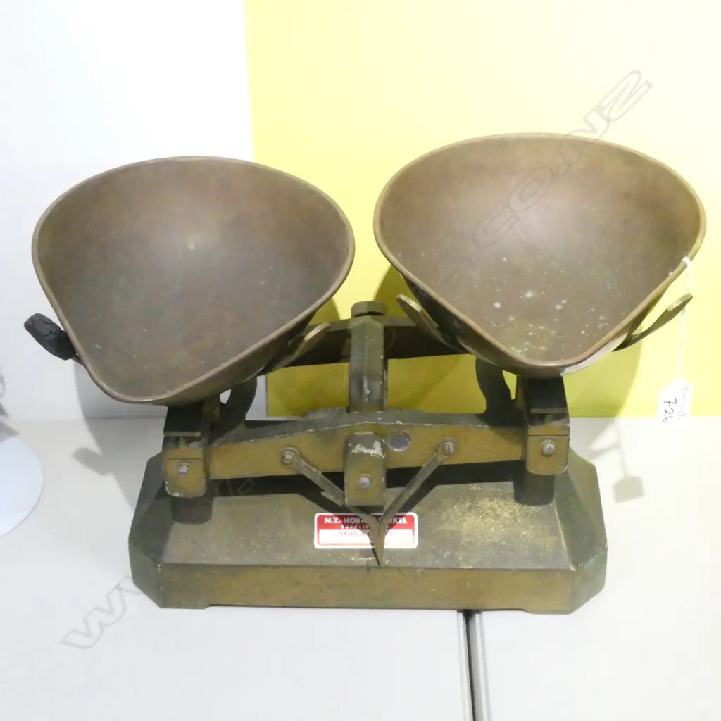CAST IRON SCALES L 410 MM Image 1++
