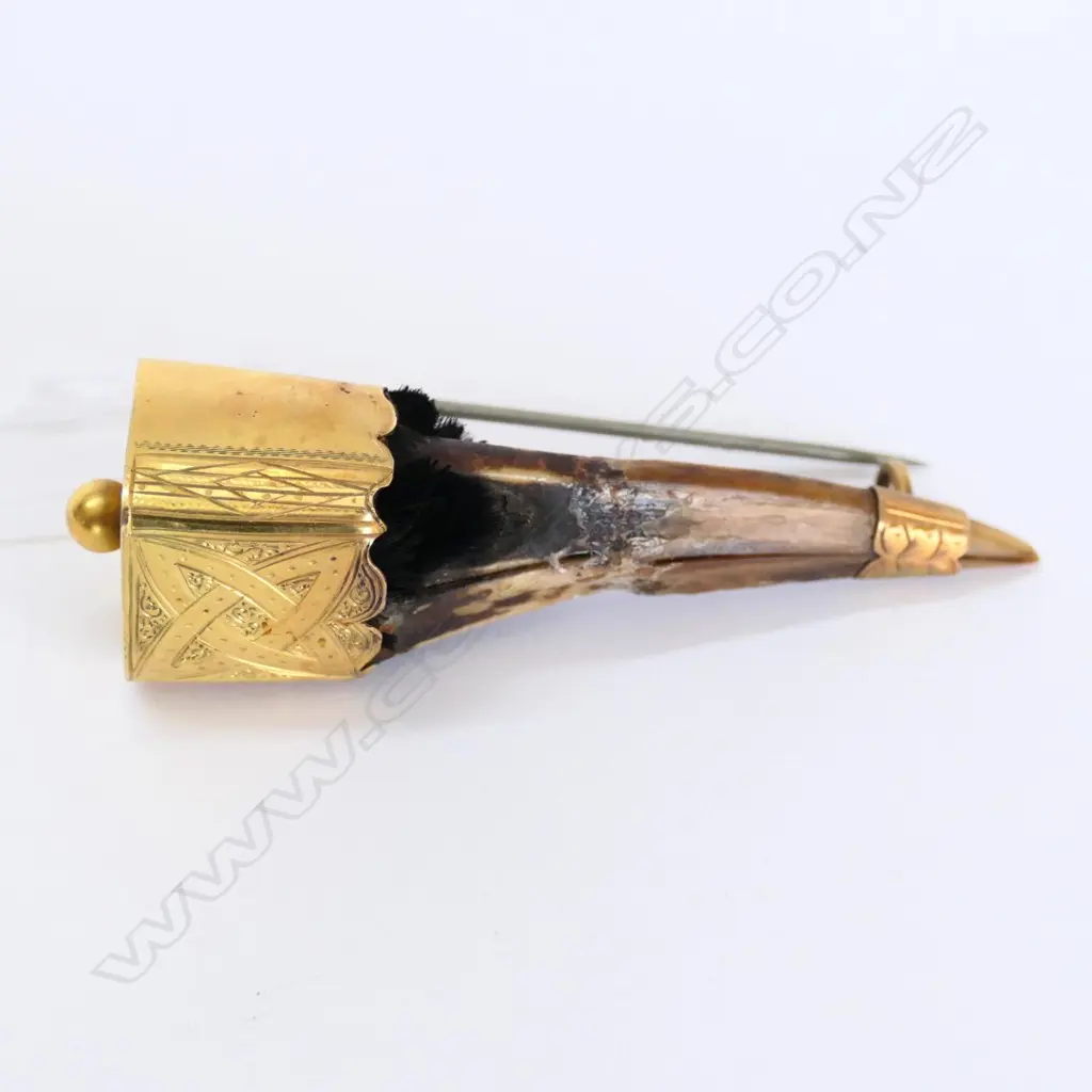 VICTORIAN BIRD BEAK BROOCH IN WOODEN BOX Image 1++