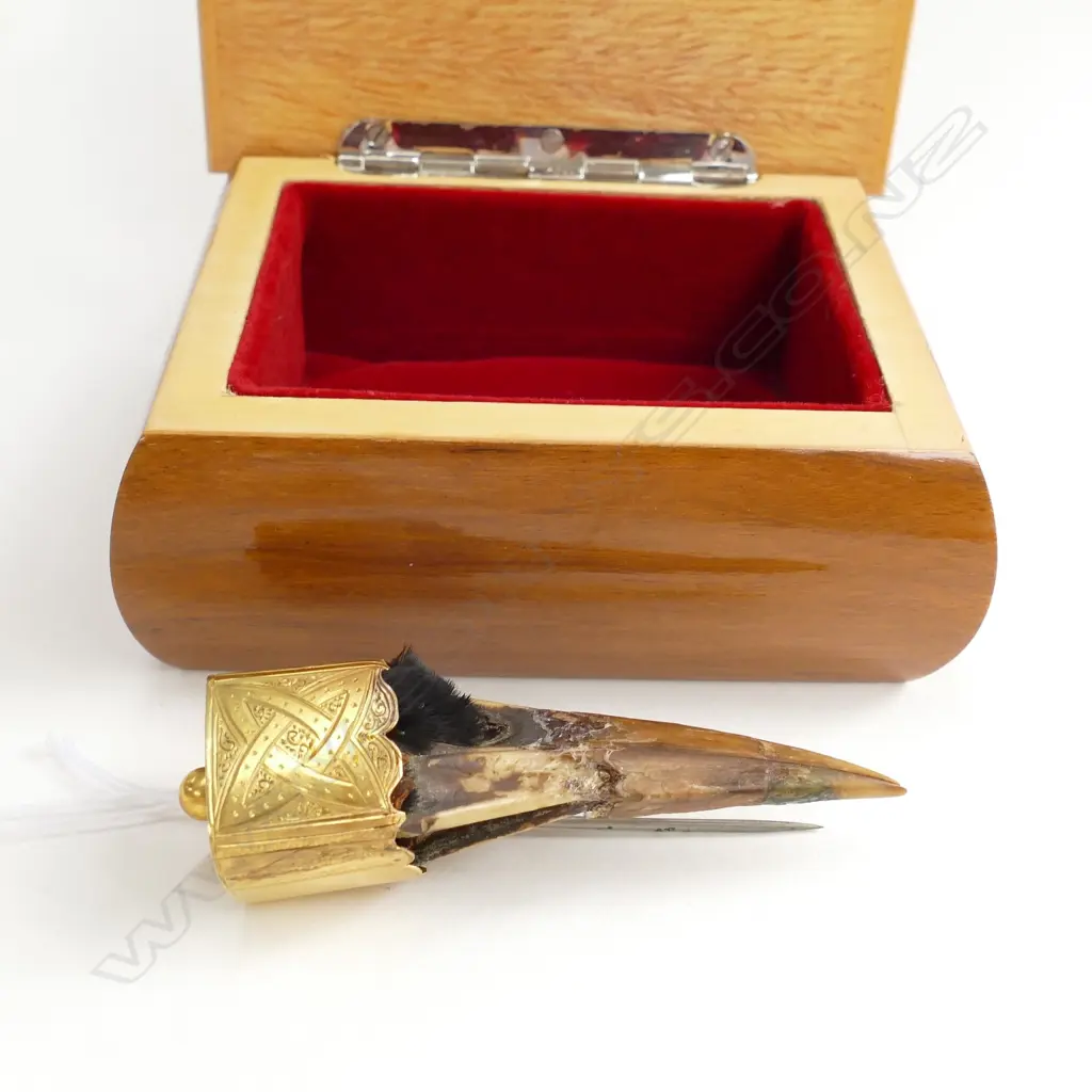 VICTORIAN BIRD BEAK BROOCH IN WOODEN BOX Image 1++