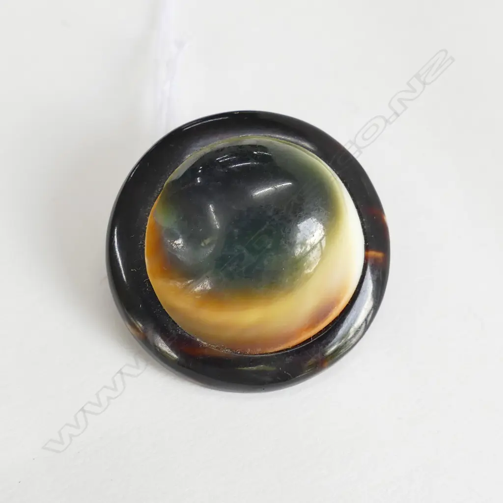 CATSEYE & TORTOISESHELL BROOCH  Image 1++