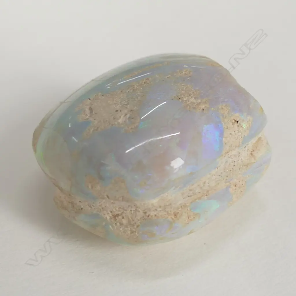 FOSSILISED SHELL WITH OPAL PIECES THROUGHOUT Image 1++