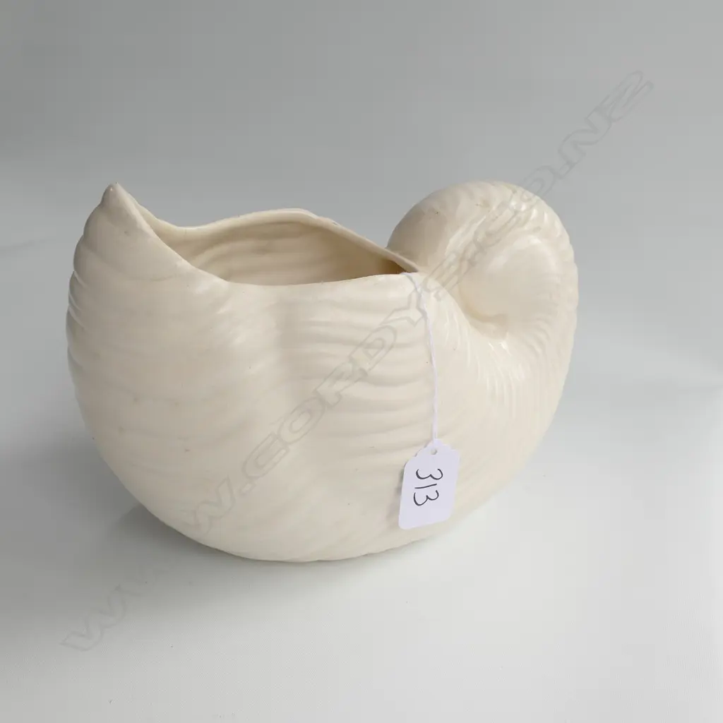 SHORTER & SON SHELL VASE H.160MM Image 1++