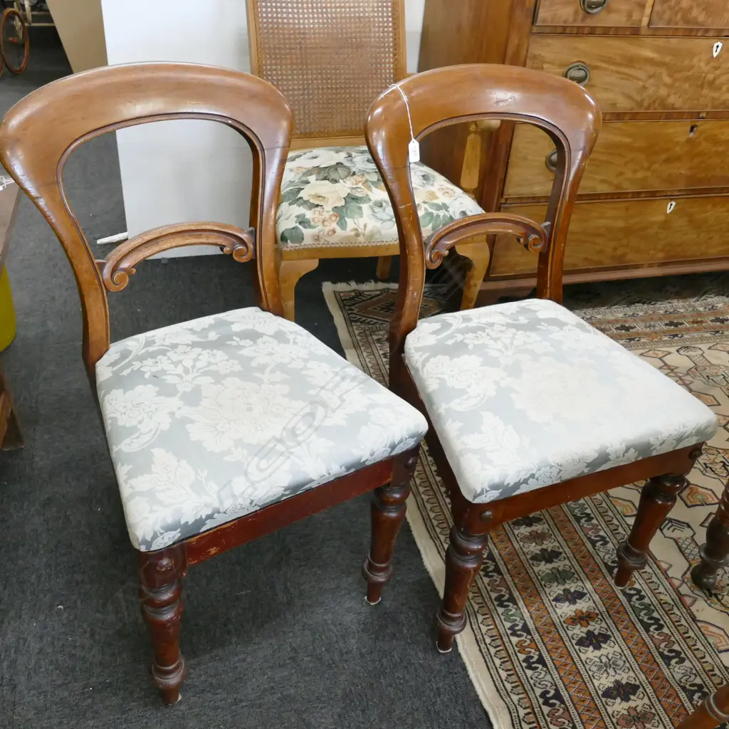 PR BALLOON BACK CHAIRS Image 1++