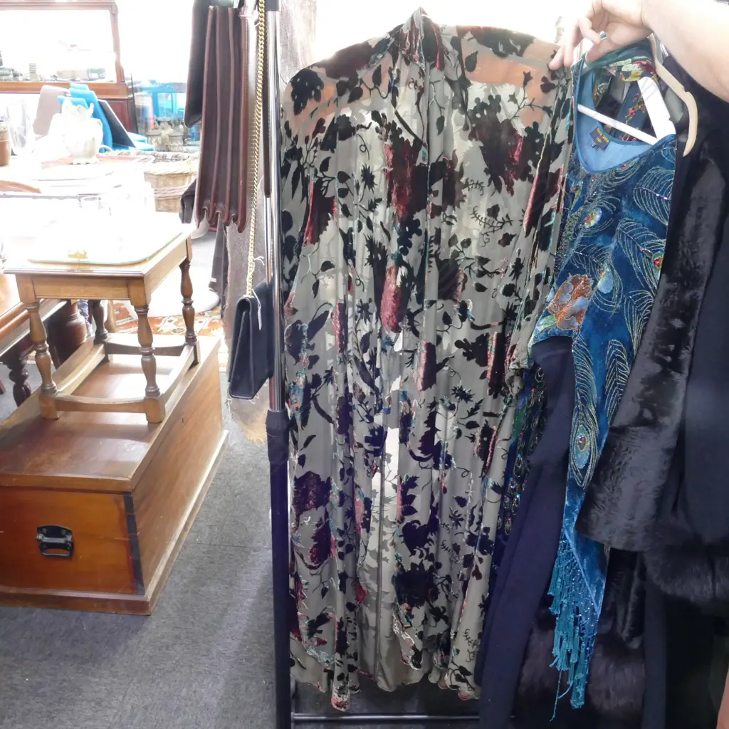 ART NOUVEAU STYLE VELVET COAT Image 1++