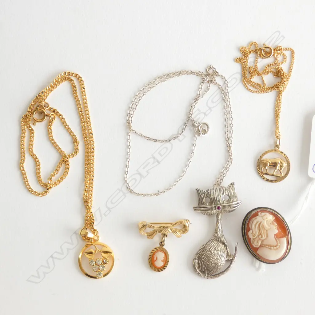ASSORTED JEWELLERY; 2 CAMEO BROOCHES, 3 PENDANTS ON CHAINS INCL ONE CAT Image 1++