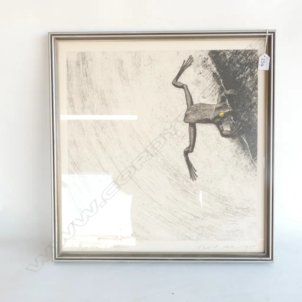 DAVID ROSE 'FROG ON EDGE' ED. 55/60 1979 500 X 485MM Image 1++