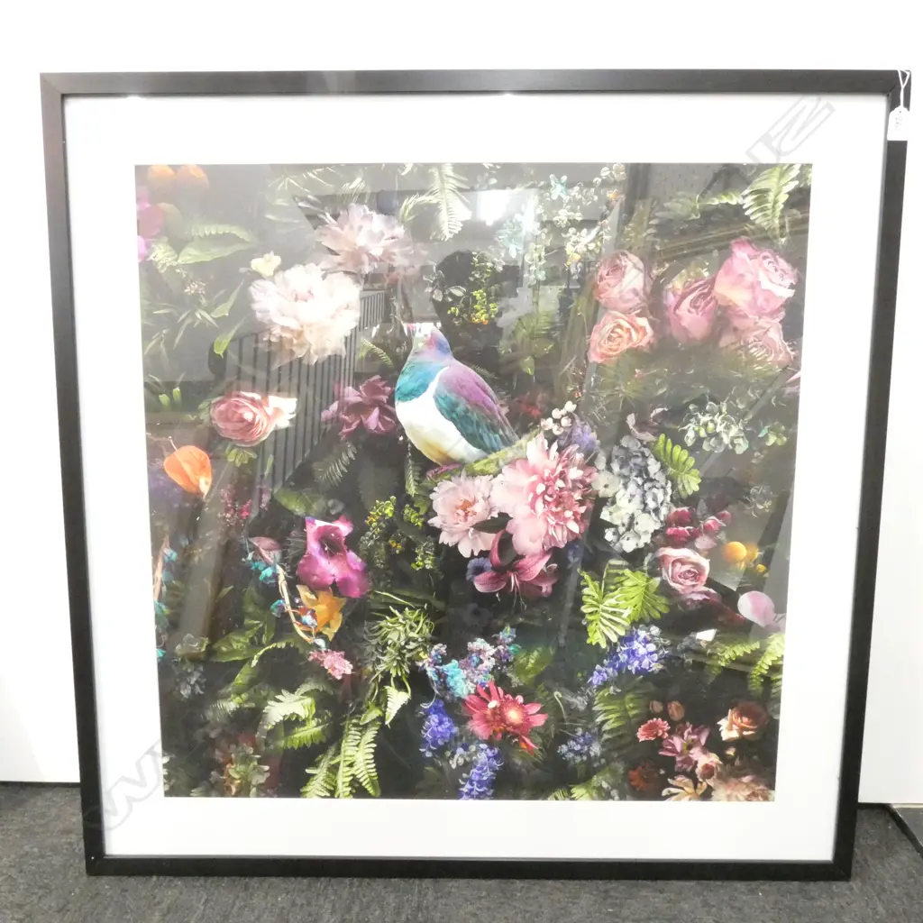 LARGE FRAMED PRINT OF A KERERU AMONG FLOWERS 1M SQ  Image 1++