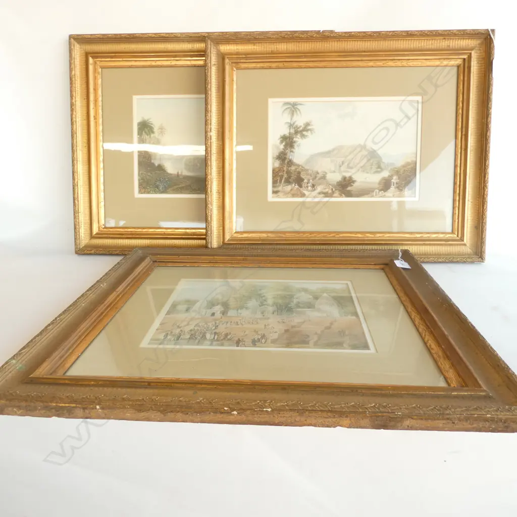 3 GILT FRAME PRINTS 440X 550MM FRAME SIZE  Image 1++