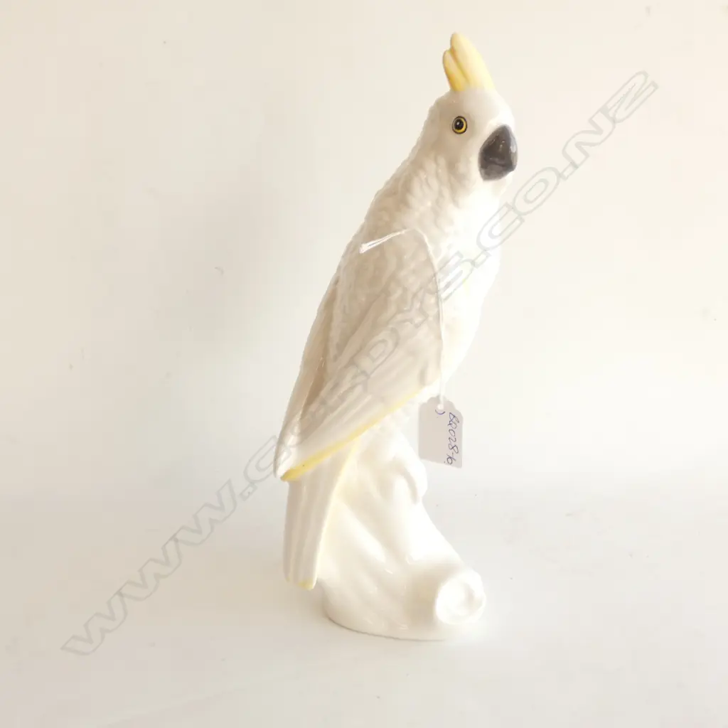 WHITE PARROT SULPHUR CRESTED COCKATOO H.310mm Image 1++