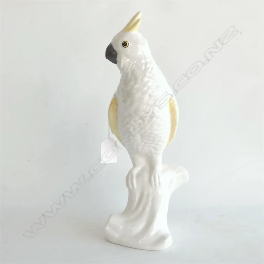 WHITE PARROT SULPHUR CRESTED COCKATOO H.310mm Image 1++