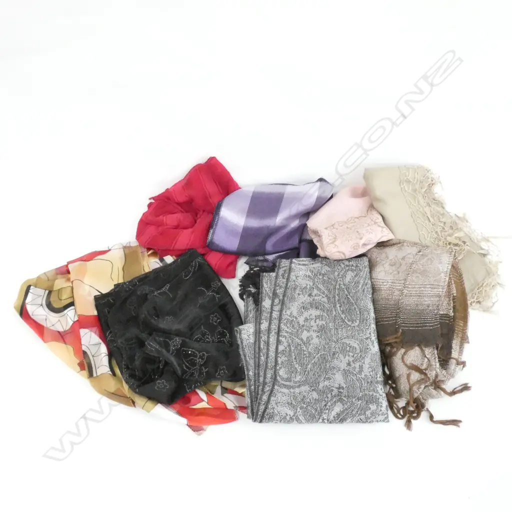 COLLECTION ASST. SCARVES ETC Image 1++