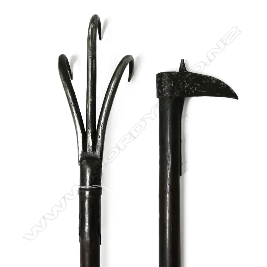 PR JAPANESE LONG POLES Image 1++