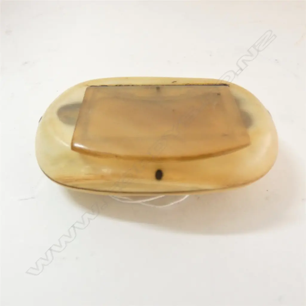 SMALL 19thC OVAL HORN SNUFF BOX Image 1++