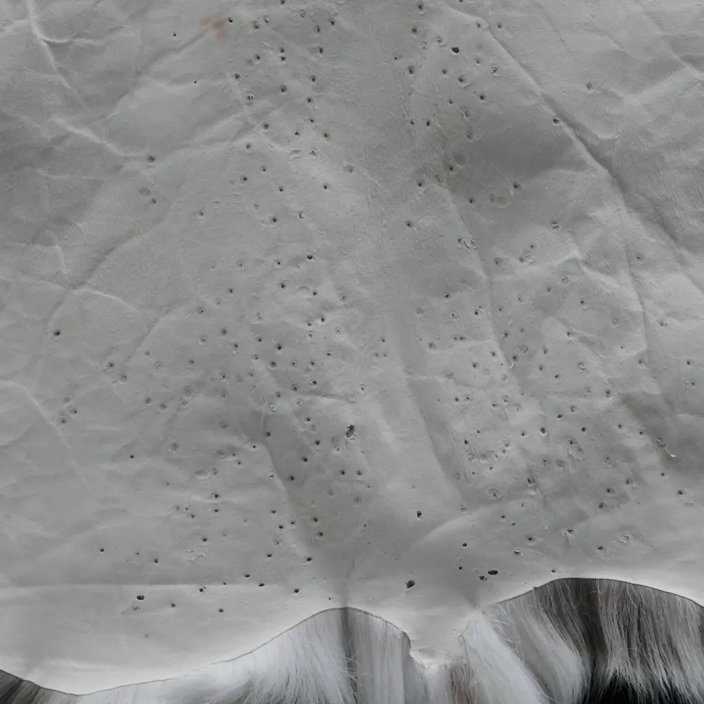 REINDEER HIDE FROM FINLAND L1000 MM, SOME MARKS TO REVERSE Image 1++