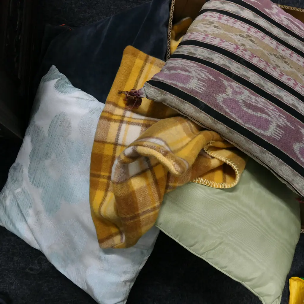 BOX LOT ASST. CUSHIONS  Image 1++