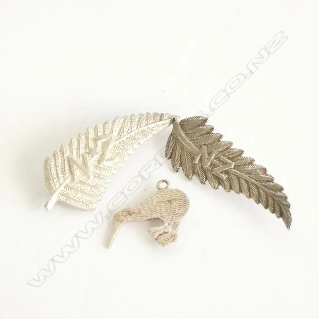 NZ SILVER FERN BROOCHES & KIWI CHARM Image 1++