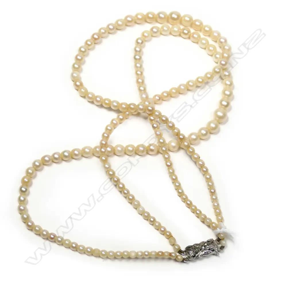 PEARLS, DOUBLE STRAND, GRADUATED, STERLING SILVER CLASP Image 1++