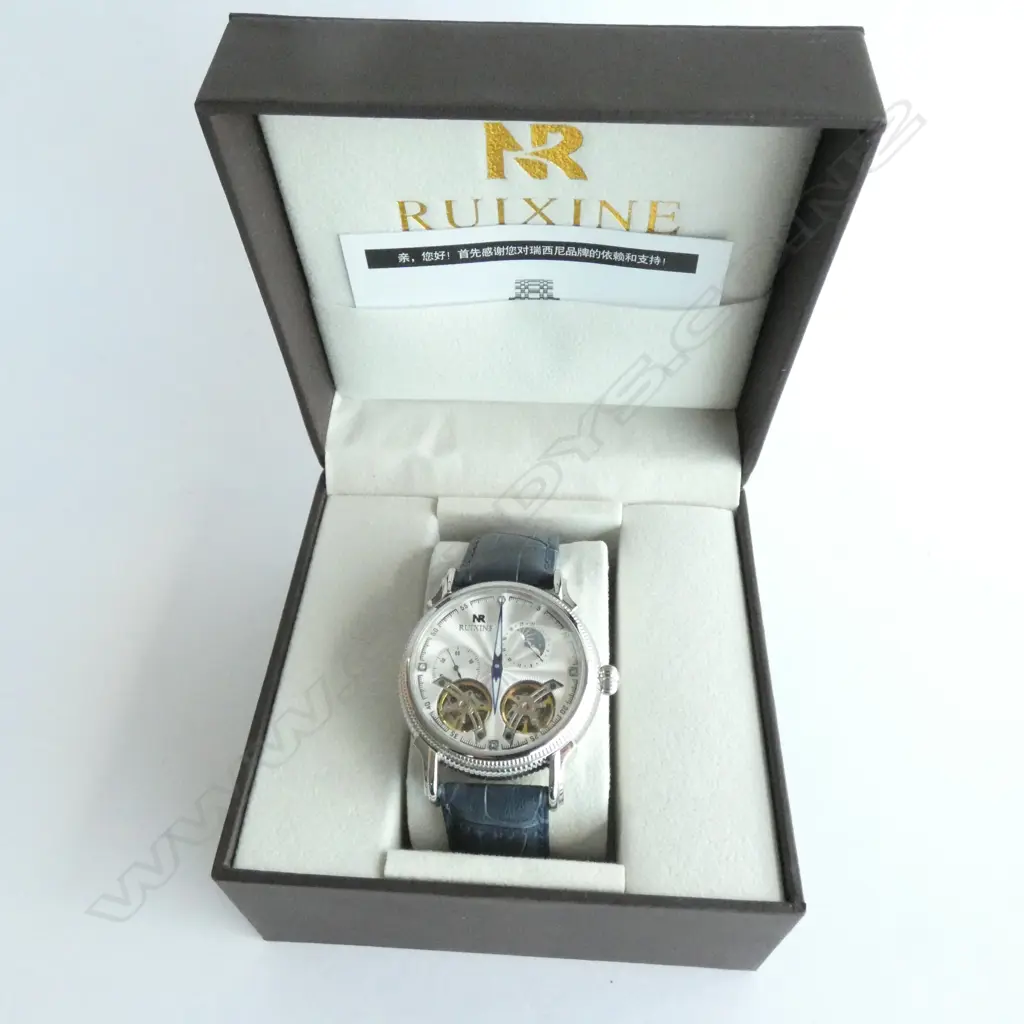 RUIXINE WATCH, CHRONO, SKELETON, 43mm DIAMETER, IMPRESSIVE WATCH, BRAND NEW IN ORIGINAL CASE Image 1++