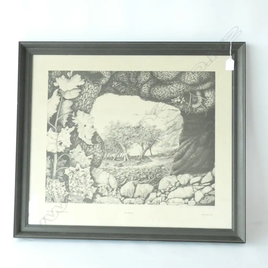 'CAPE COLVILLE' BLACK & WHITE LTD. ED. PRINT BY REI HAMON 1969 520 X 415MM Image 1++