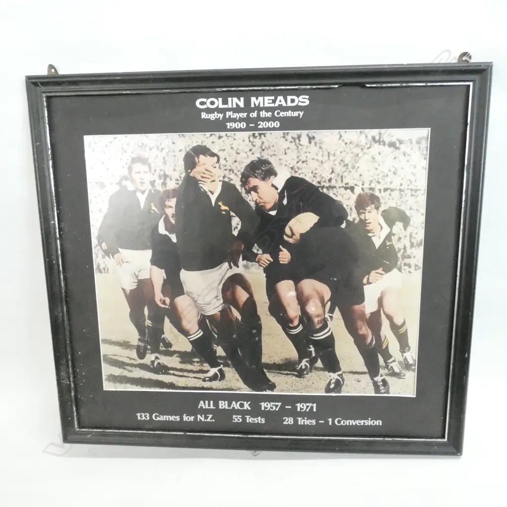COLIN MEADS FRAMED PRINT W. 470 X 380MM Image 1++