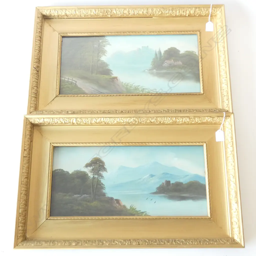 PAIR OLD ACRYLIC PAINTINGS, 465 X 215MM, GILT FRAMES Image 1++