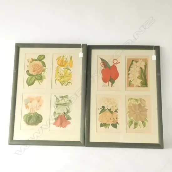 PR 4 FRAMED BOTANICAL PRINTS 625 X 435MM