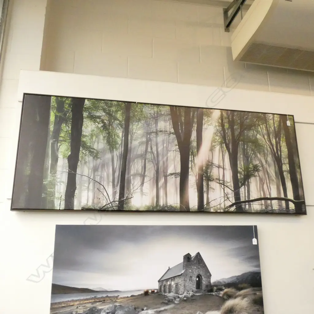 LARGE CANVAS ART PRINT TREES FRAME WITH FAULTS 700 X 1800 MM Image 1++