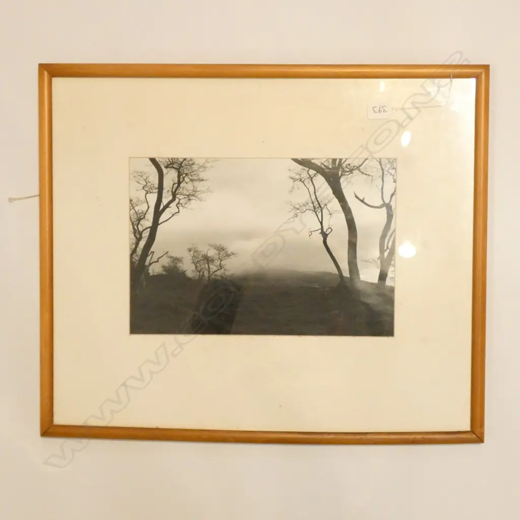 NEIL FINLAY PHOTO 'WAIARE 240 X 360 MM Image 1++