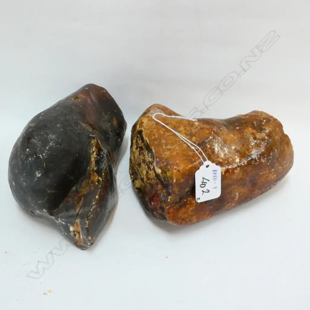 ASST PCES SEMI POLISHED KAURI GUM Image 1++