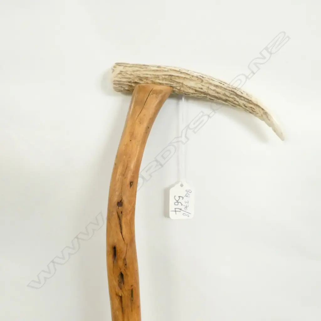 BRIAR & ANTLER WALKING STICK Image 1++