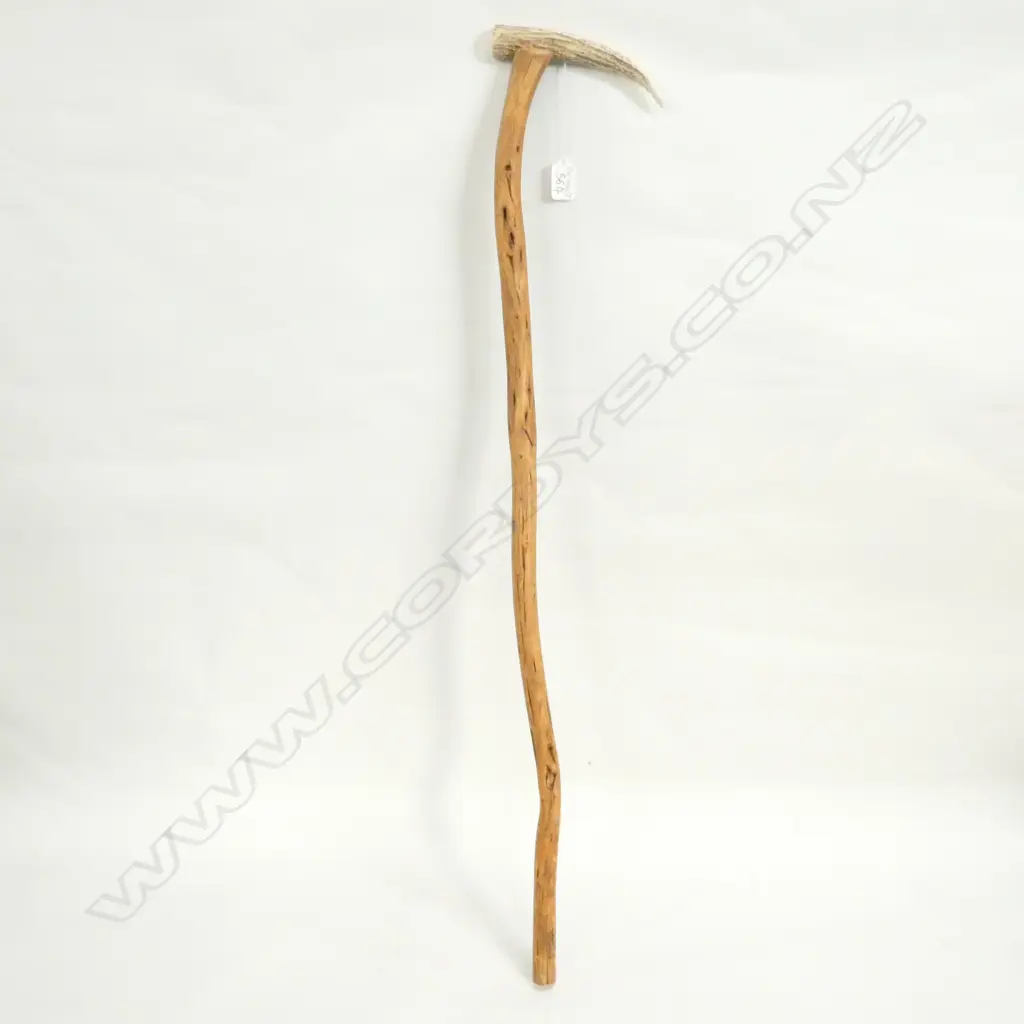 BRIAR & ANTLER WALKING STICK Image 1++