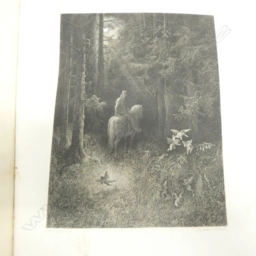 2 VOLUMES TENNYSON/DORE ENGRAVINGS 1878. Image 1++