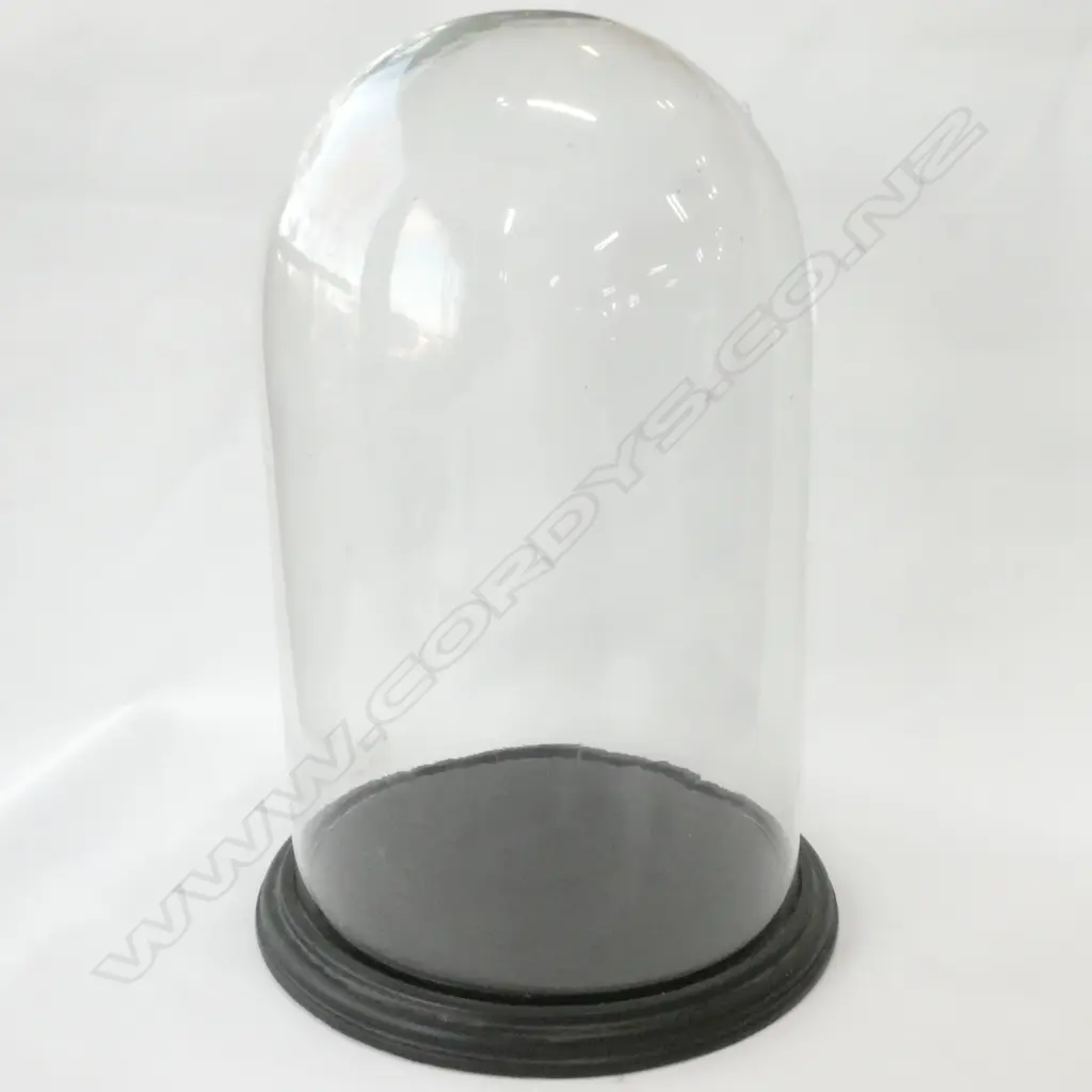 VINTAGE GLASS DOME H. 510MM Image 1++