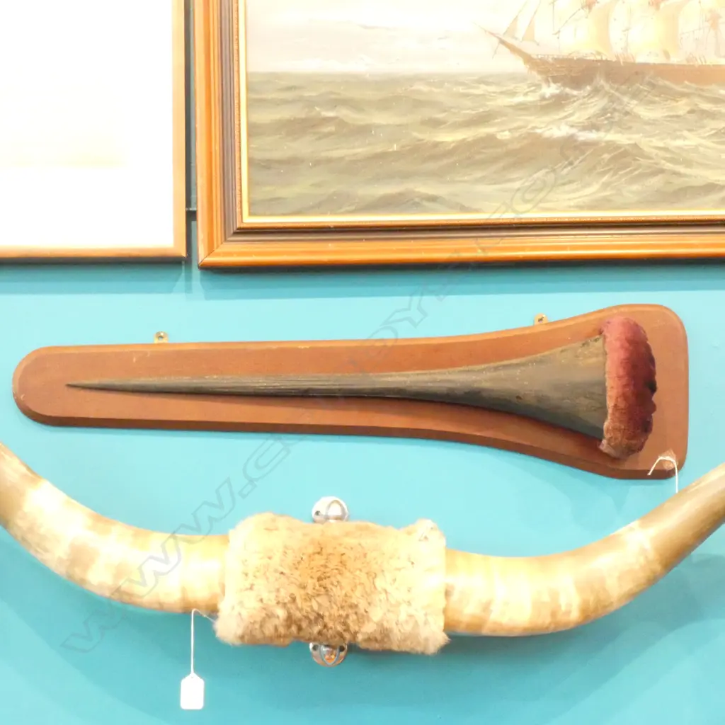 MARLIN BILL ON WOOD WALL MOUNT W800MM  Image 1++