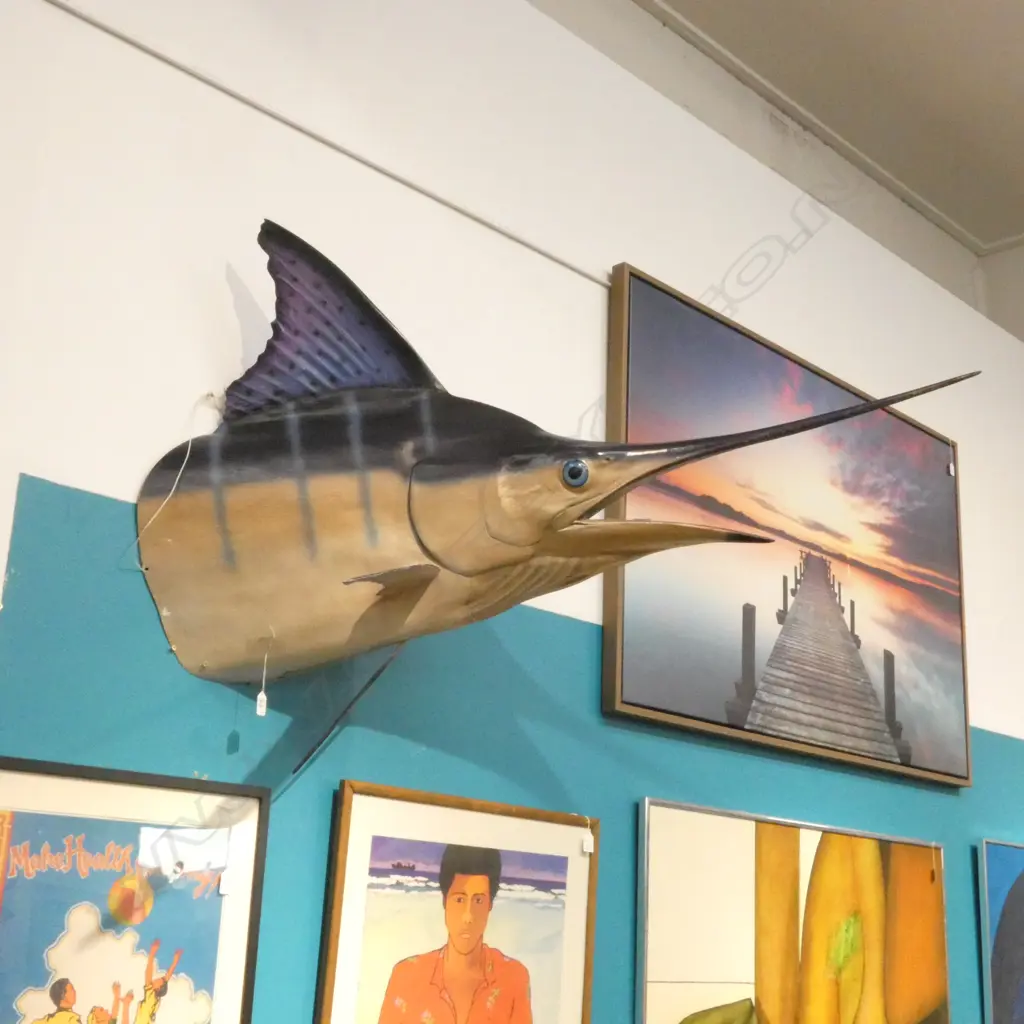 FIBER GLASS MARLIN UPPER TORSO W1400MM H950MM D900MM Image 1++