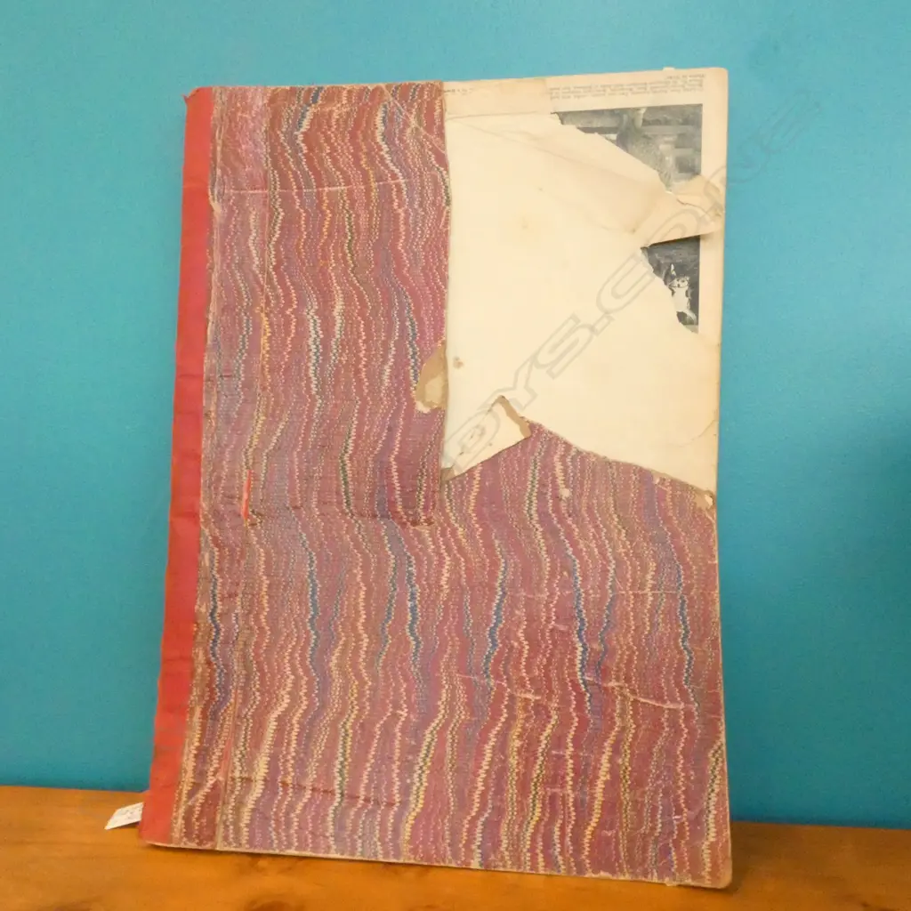 1 BOUND VOL. OTAGO WITNESS C1903 Image 1++