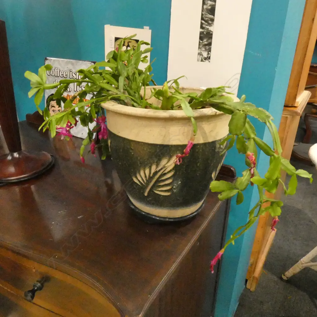 POT PLANT H. 265MM Image 1++