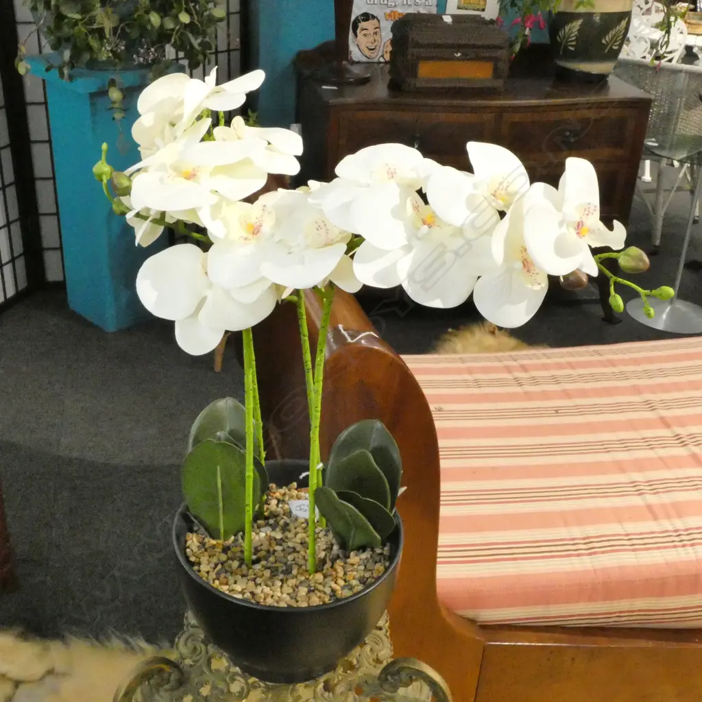 FAUX COLOMBIAN ORCHID  Image 1++