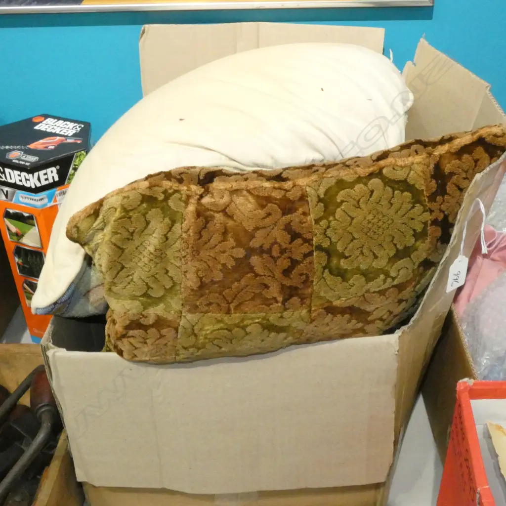 BOX LOT LIGHT AF, CUSHIONS ETC Image 1++