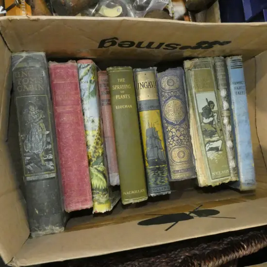 BOX LOT ANTIQUE BOOKS; UNCLE TOMS CABIN ETC