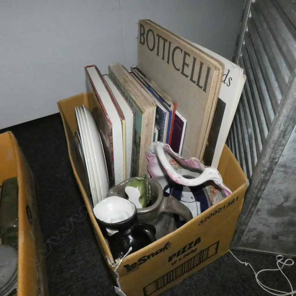 BOX LOT VINTAGE BOOKS + ASST. CERAMICS Image 1++