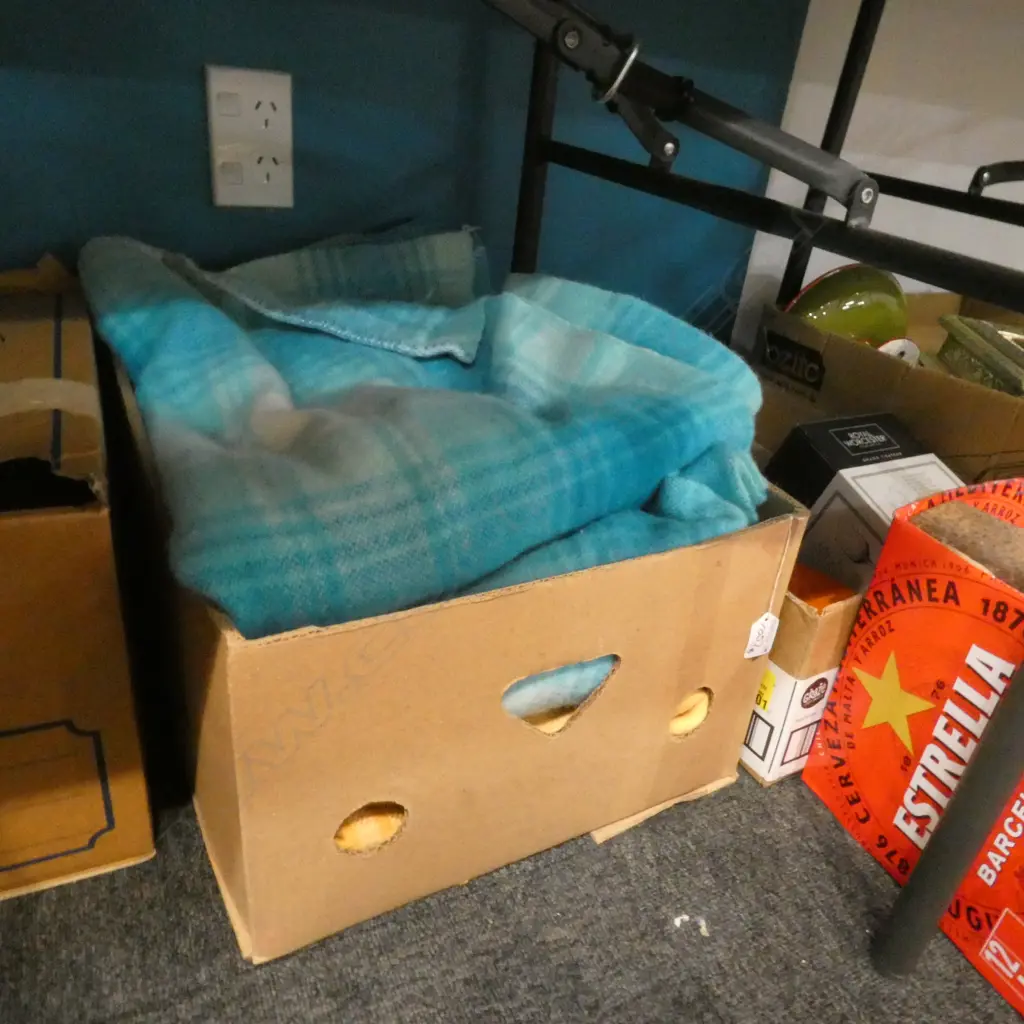 THREE WOOL BLANKETS; PAIR NAPIER MONARCH & ONE 'PRINCESS' ONEHUNGA Image 1++