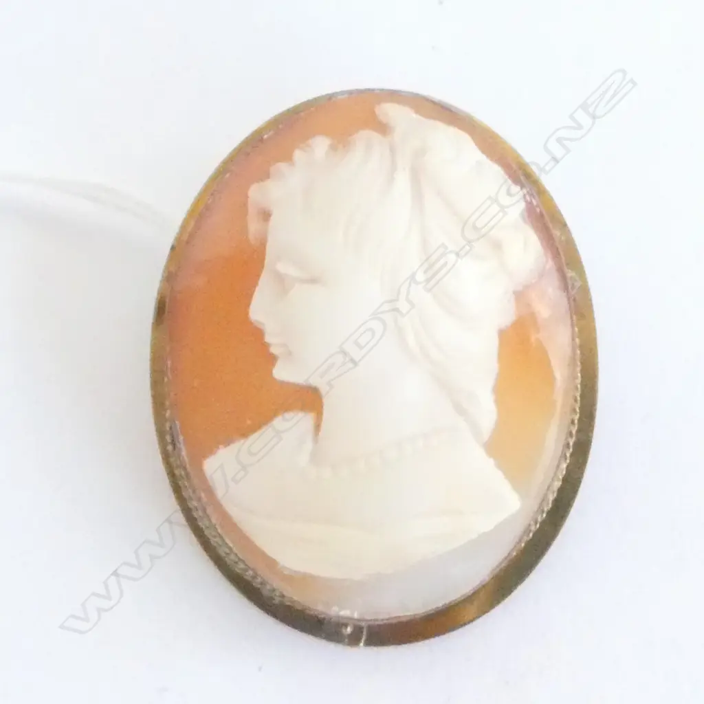 BROOCH, CAMEO SET IN GOLDPLATED SURROUND, LENTGH APPROX 40mm Image 1++