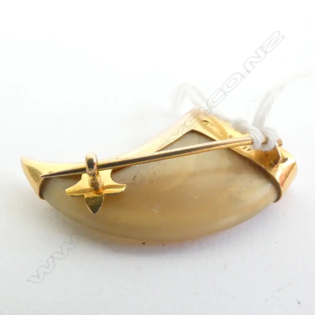 TIGER'S CLAW SET IN 18ct GOLD, c.1910 Image 1++