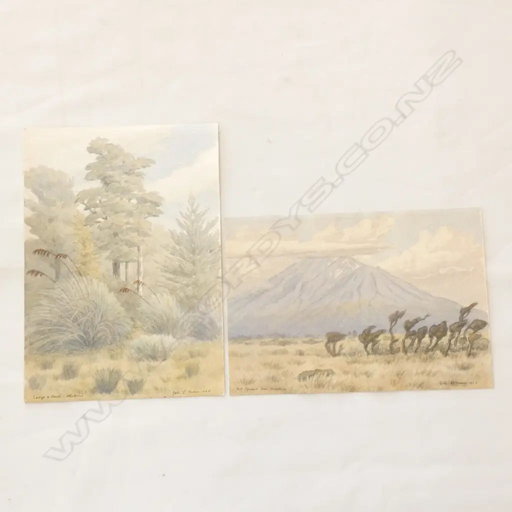 JOHN L MOORE  1897-1965  2 X WC UF   ‘SEDGE AND  BEECH  OHAKUNE 1948 & MT EGMONT 1953. unframed, largest 250 x 355mm Image 1++