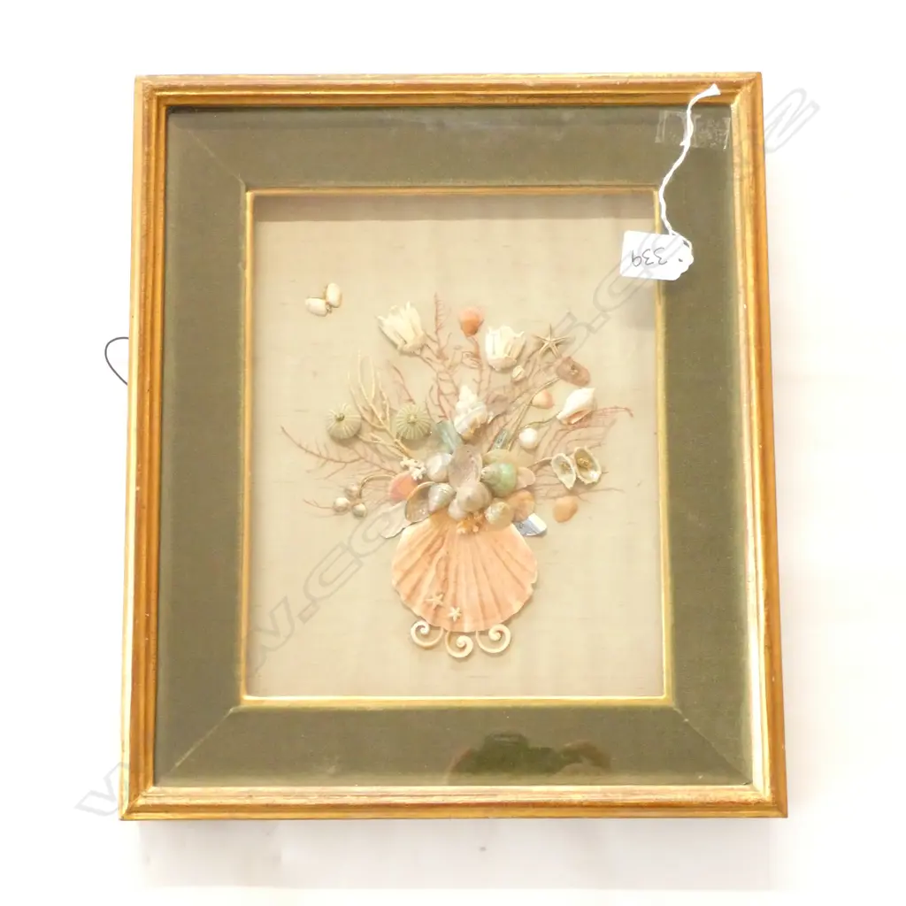 FRAMED SHELL COLLAGE Image 1++