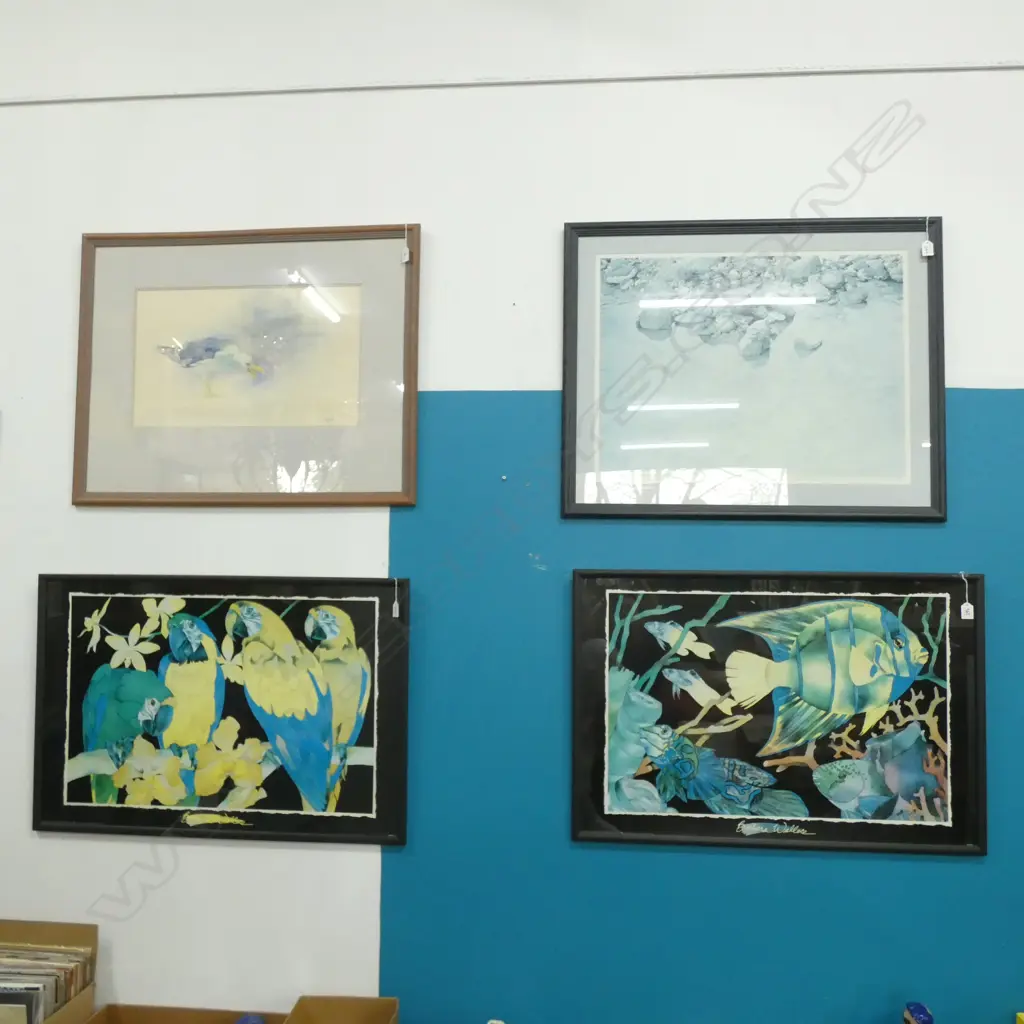 4 LARGE ARTWORKS; PLOVER CHICKS PRINT, SEAGULL W/C, PR BARBARA WALLACE PRINTS 500 X 760MM  Image 1++