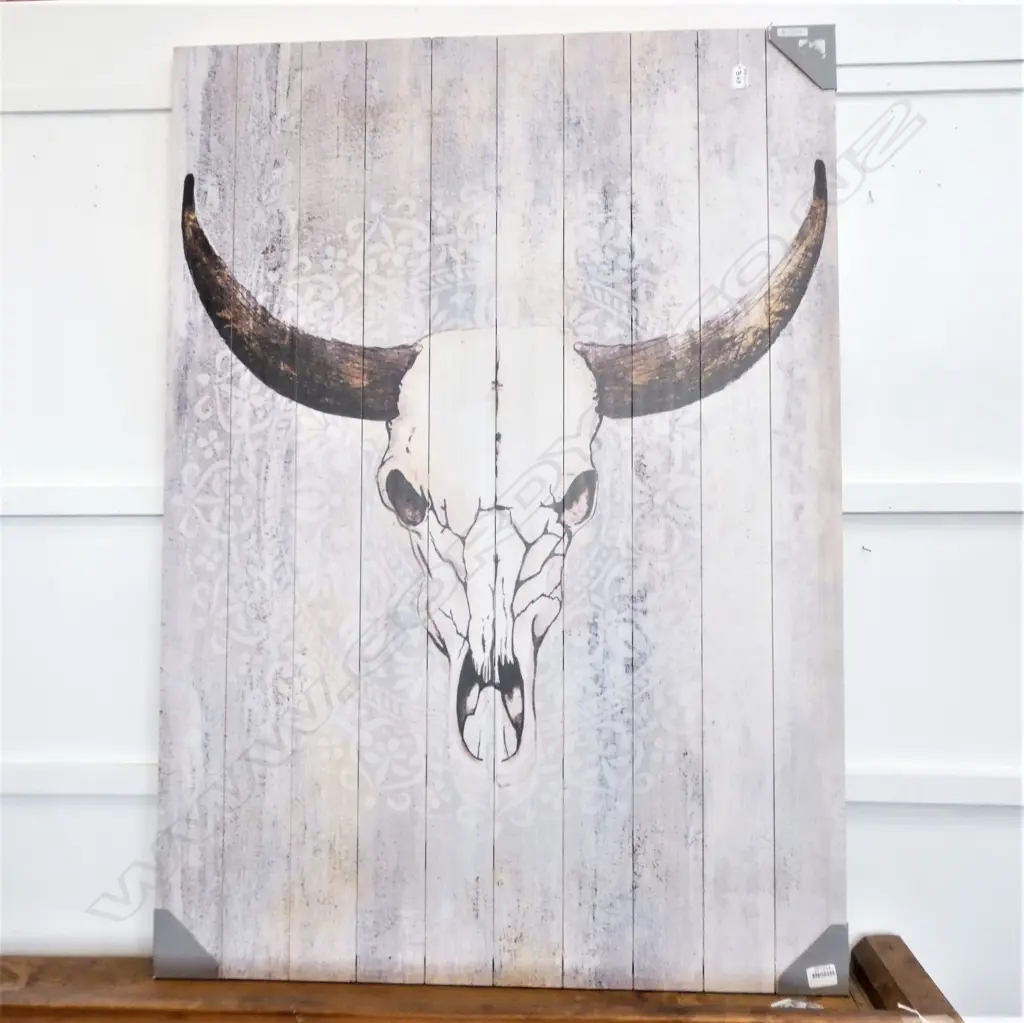 LARGE PRINT BULLS SKULL Image 1++